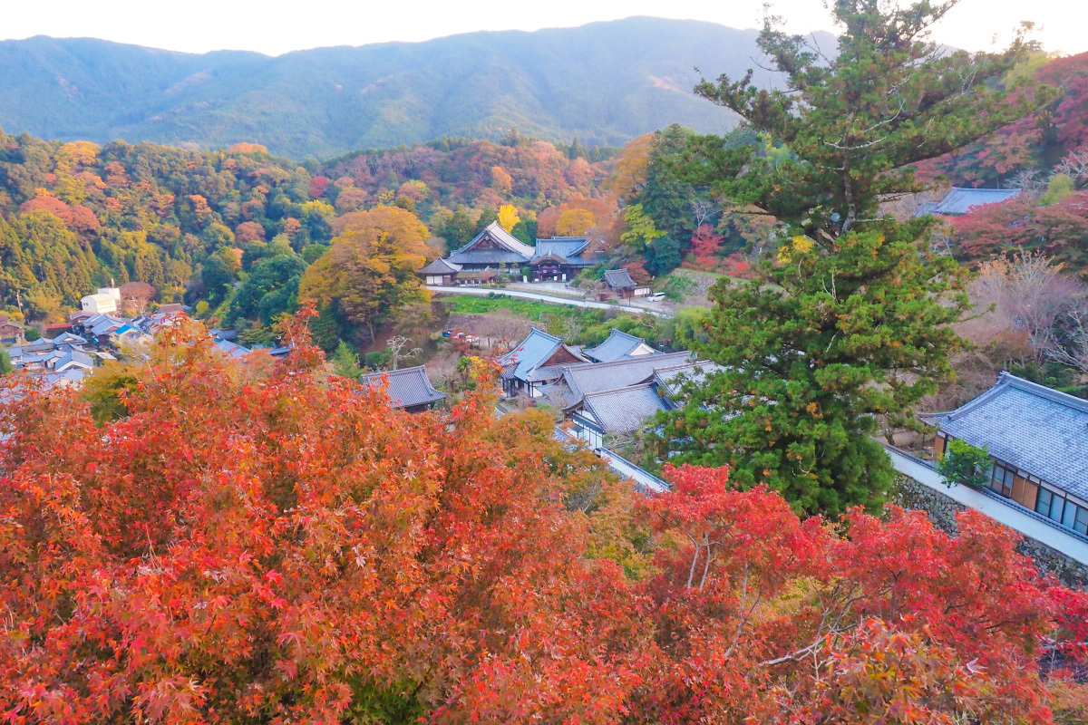 2024N͂ǂɍsHޗǂ̍gtX|bg12I