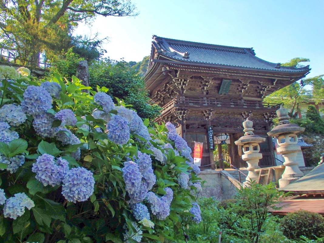 桜に牡丹に紫陽花 奈良 花の御寺 長谷寺 で四季の風情を満喫 奈良県 トラベルjp 旅行ガイド