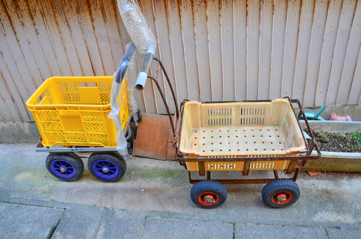 �W���̎U��̌�́u���u���u���[�t�B�[���h�v����̐�i��