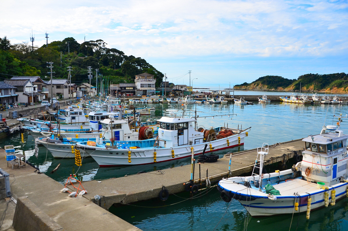 ���u���̗��̃t�B�i�[��������u����̗[���v