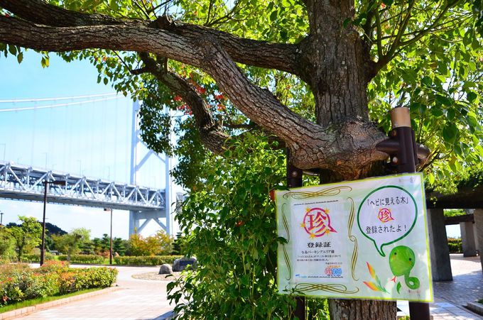 見上げれば瀬戸大橋 香川 与島 で島歩きを楽しもう 香川県 トラベルjp 旅行ガイド