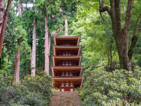 珍しいモリアオガエルと仏像の宝庫！奈良・女人高野「室生寺」