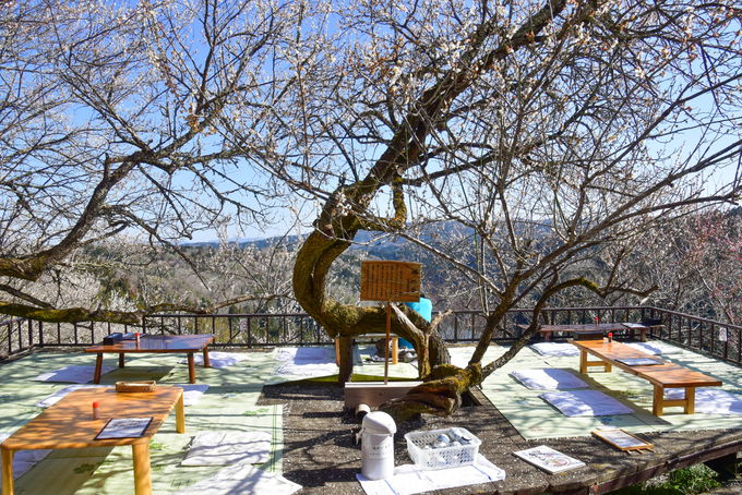 u~сvEH[LOR[XĂ݂悤