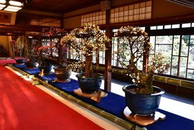 ɖ~~WEt̎ulvA胂fR[X̋LTlC