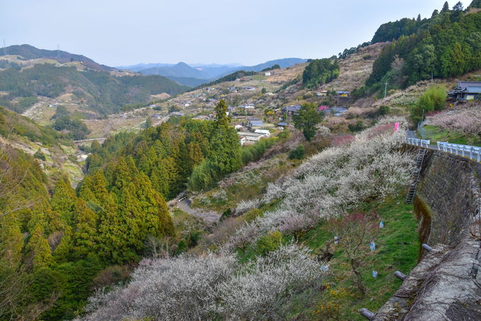 u̐{vuԂ{v𒭂߂Ȃ牺čs