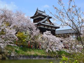 桜に時代行列や和太鼓の演奏も！奈良「大和郡山お城まつり」