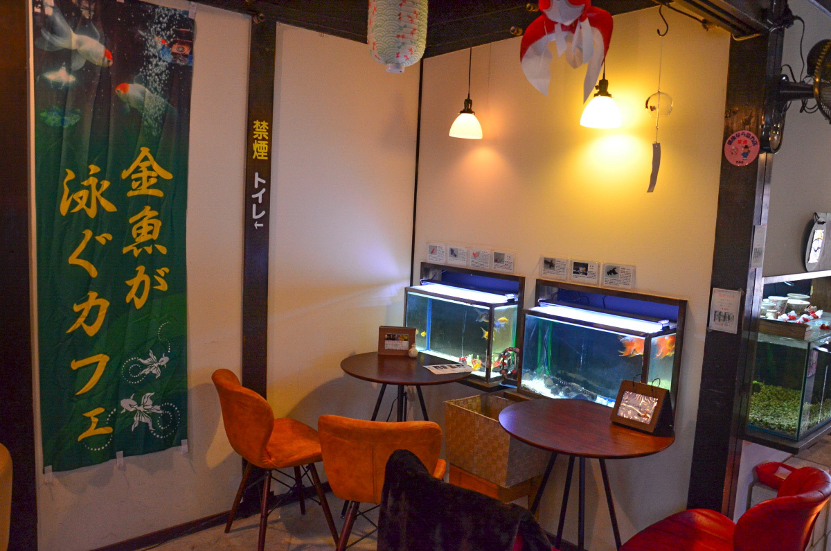 金魚が泳ぐカフェ「きんぎょcafe柳楽屋 陽だまり」