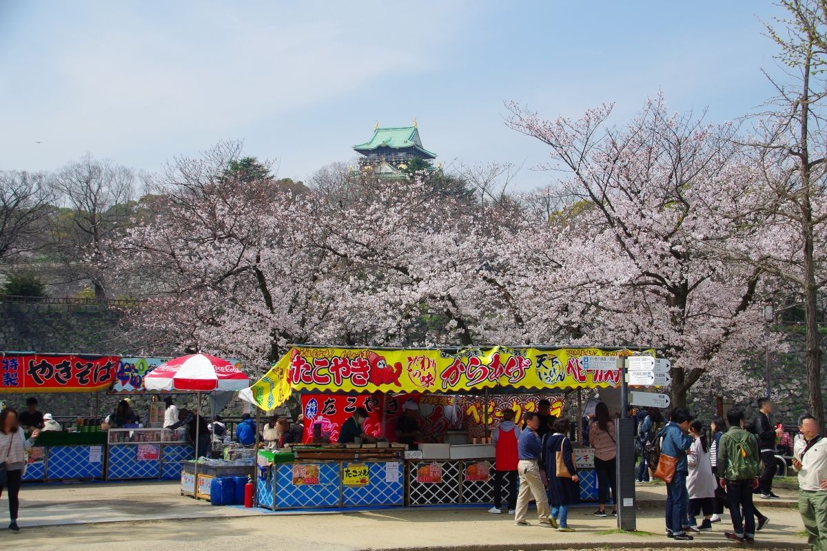 夜桜ライトアップに日本伝統芸能猿まわし 大阪城公園 でお花見 大阪府 Lineトラベルjp 旅行ガイド