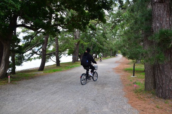 ここから天橋立 自転車