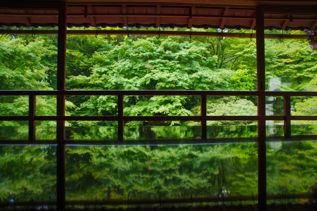 �Â���2�K����̃��t���N�V�����B�e��