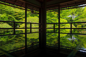 ���ꌧ�E��{�̌����V�u���|�щ@�v�Ń��t���N�V�����B�e���y�����̋L���T���l�C��