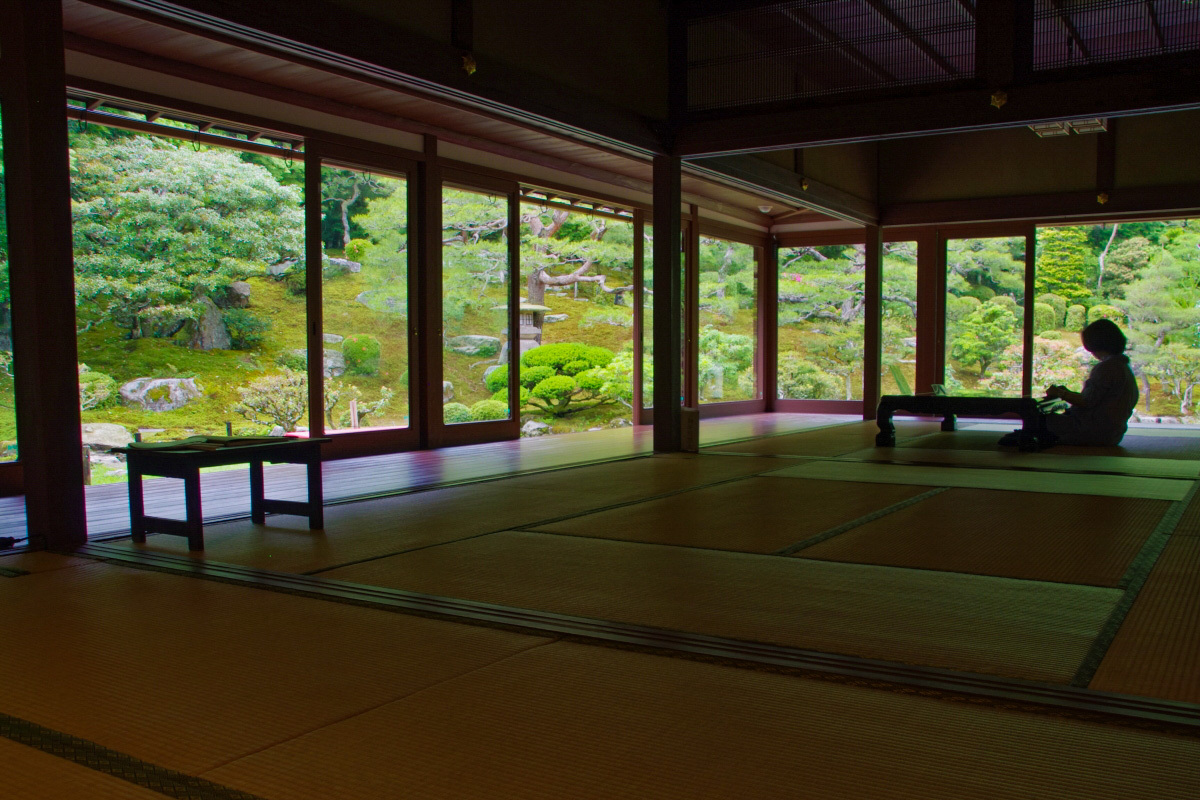 ��{�̉�����V�̂ЂƂu���|�щ@�v