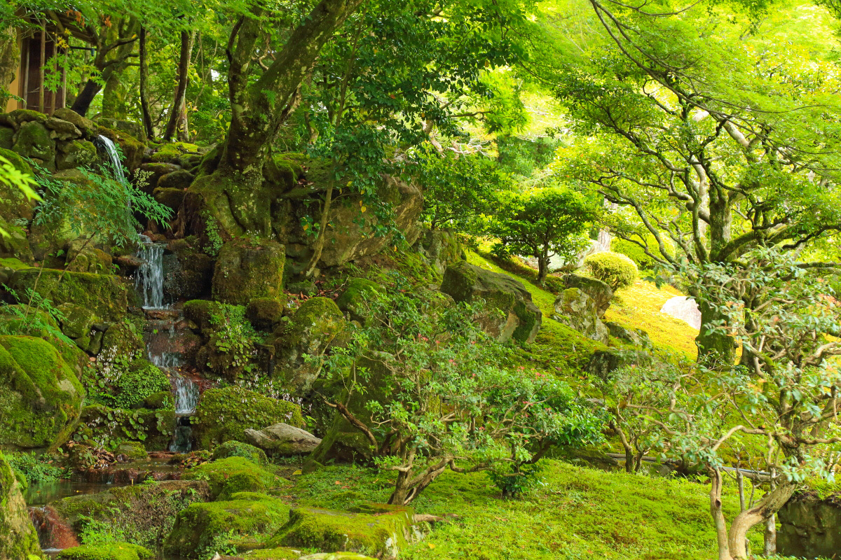 ���w�薼���뉀������Ă݂悤