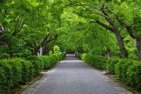 �w�i�ق�����x��l���E���q���G�䂩��̒n ���ꌧ�u�������v�̋L���T���l�C��