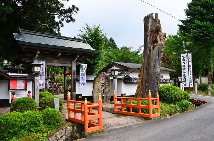 ʌjւ́uۗǂ̒݋vnčs