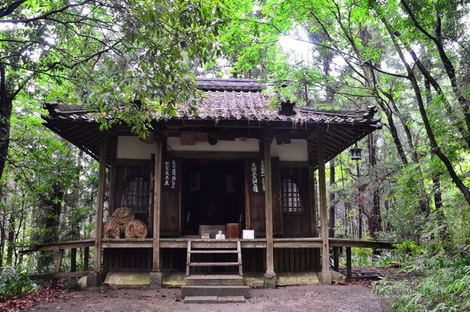 ^c\Em̂ЂƂg򍲏h͍bE҂