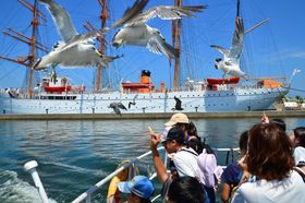 xREVόD̓VR[XŁg{̃xjXh𖞋iI̋LTlC