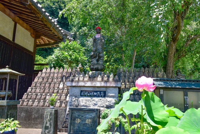 ���߂̂܂Ȃ�������ۓI�Ȃ��{���u�q���J���n����F�v