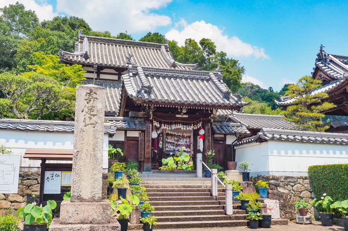 �g�Ă�Ă�V��h���������ʂ�I����F��̎��@�u���@���v