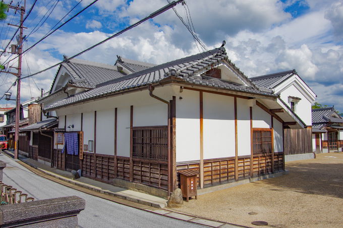 �S���t�@���̕K���X�|�b�g�I�������̈�\�u���̌ܐV�S���Ձv