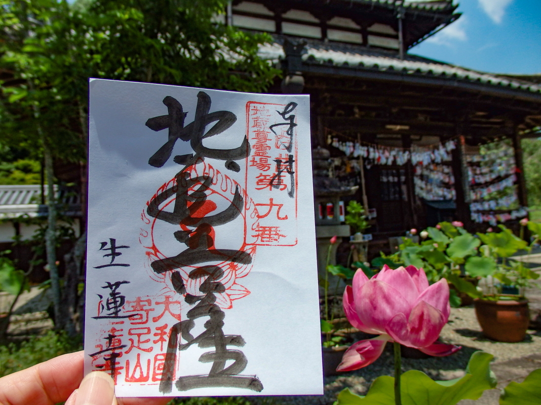 ���߂̂܂Ȃ�������ۓI�Ȃ��{���u�q���J���n����F�v