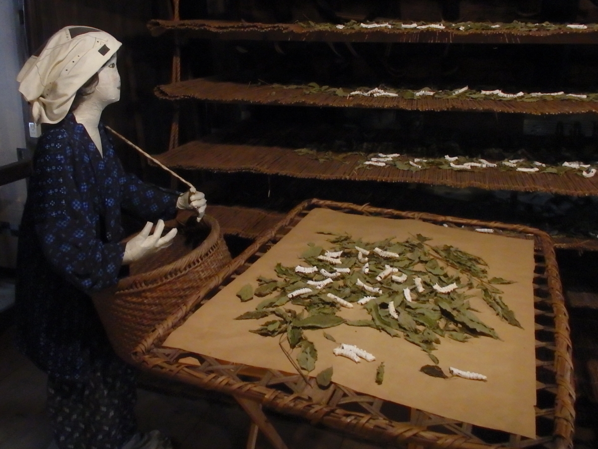 2K̃A}ŁA܉ӎR̗{\Ƃm낤