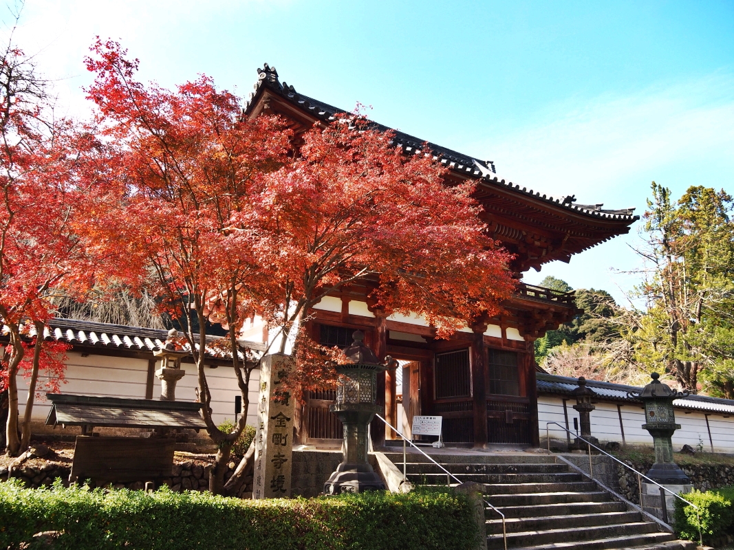 9�D�V��R�������^�͓�����s