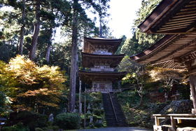 ĈޗǁI䌧EዷulvōƖ뉀낤̋LTlC