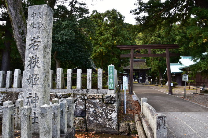 福井で訪れたいおすすめの神社7選 歴史ある神社で健康運や縁結びを トラベルjp 旅行ガイド