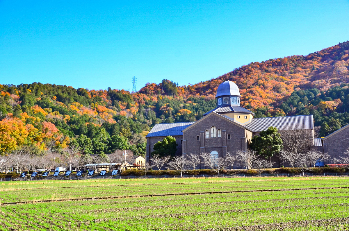 ����ό��n�y1�z���ꌧ�����y��l�Ô�����