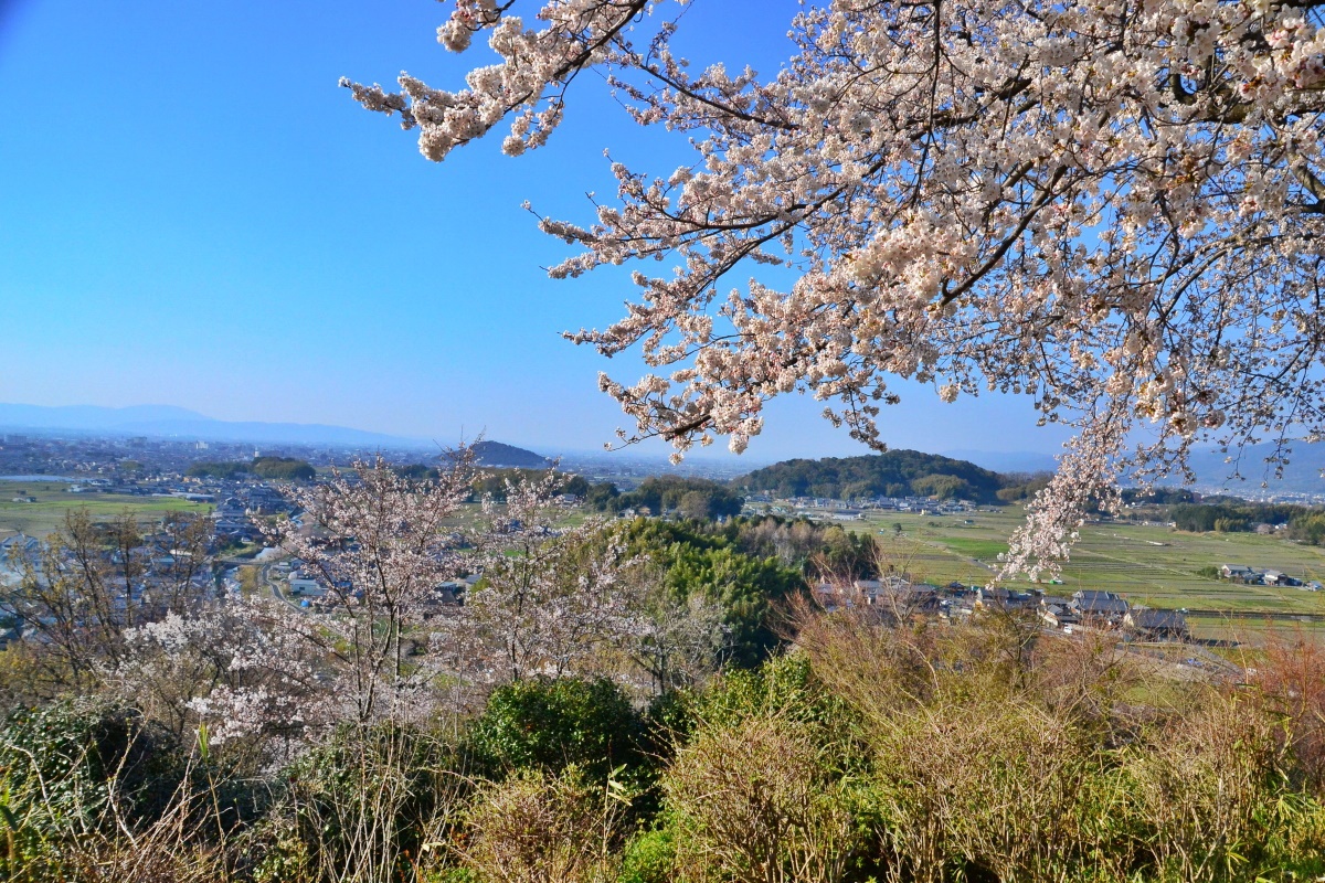 関東周辺四季の花巡り - 地図・旅行ガイド