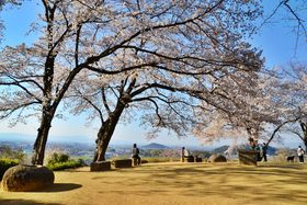 �ޗǌ��E�t�̖��������ō��̂��Ԍ��X�|�b�g�߂�����y�������I�̋L���T���l�C��