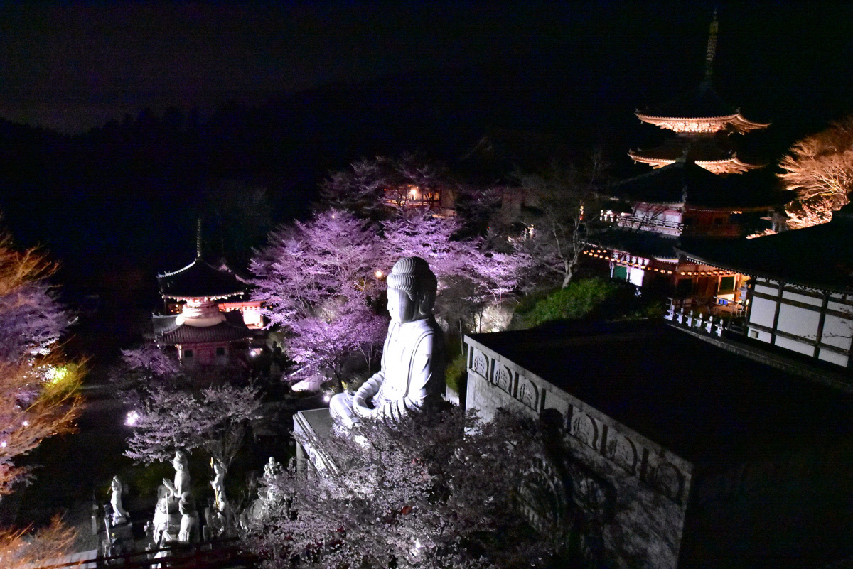 「壷阪寺夜桜ライトアップ」で幻想空間を満喫！