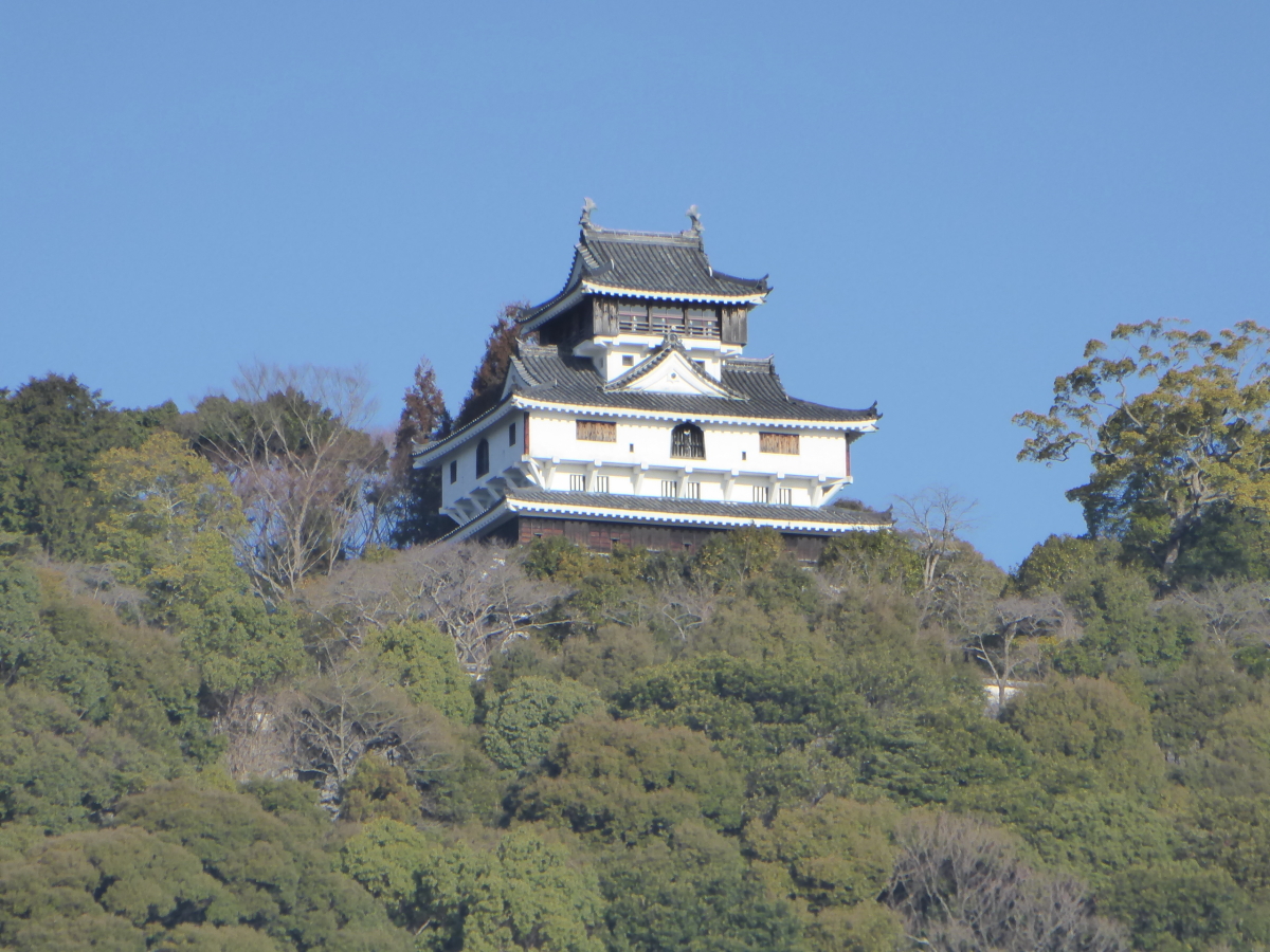 CgAbvꌶzIȖ̋ёы̎U