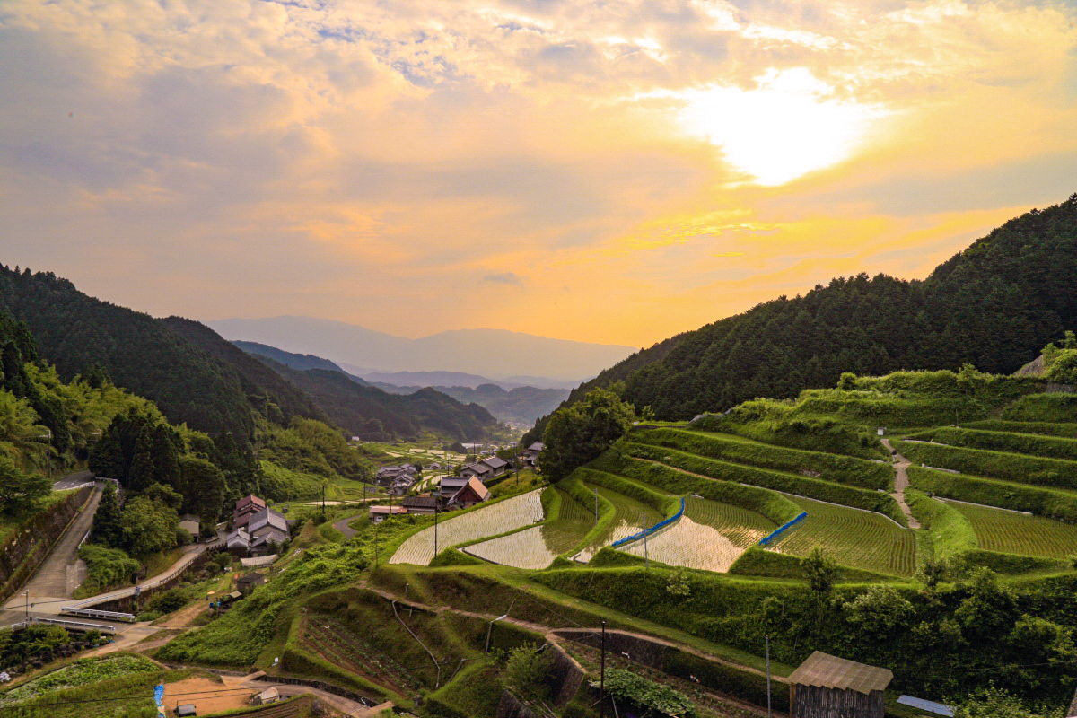 ciƎsXnȂǂ̒]ɗDu̒Icv