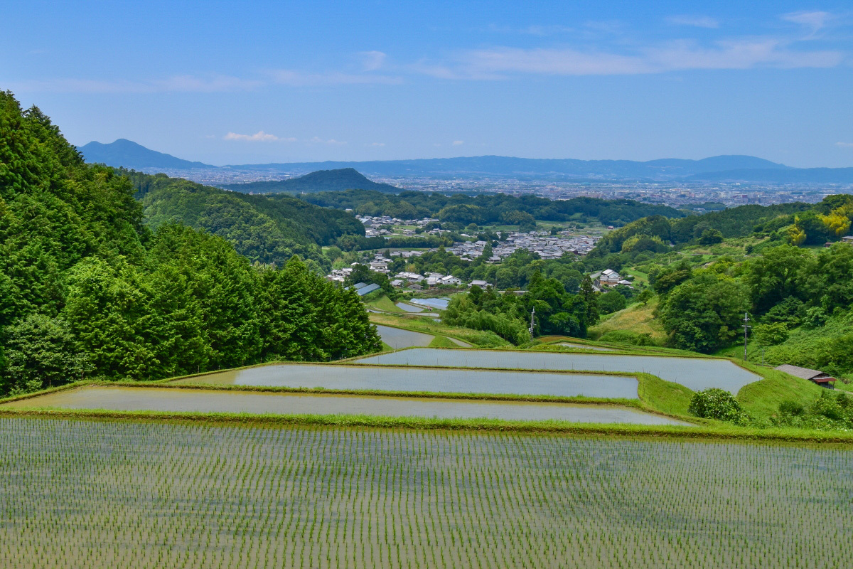 s~bh̕gsˌÕhuc̒Icv