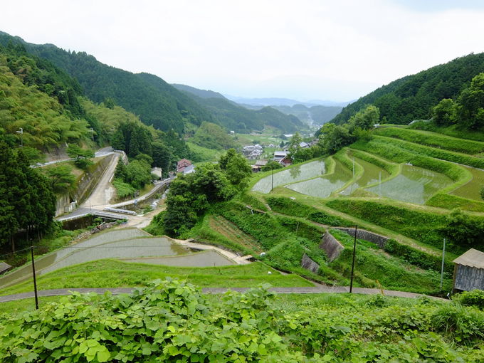 ciƎsXnȂǂ̒]ɗDu̒Icv