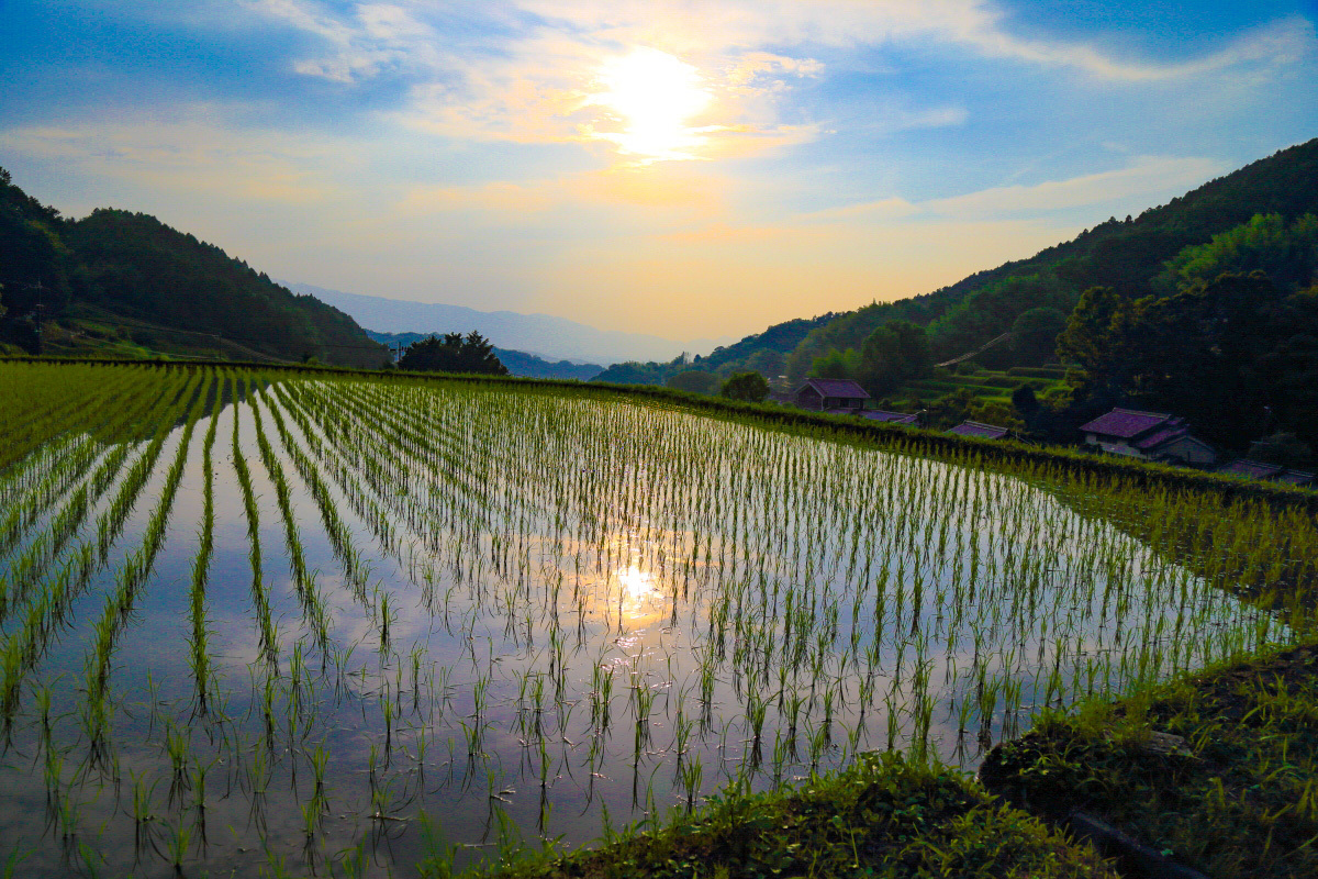 gIcĂh邱Ƃłuא̒Icv