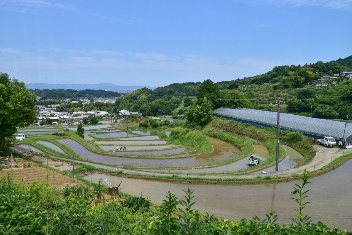 s~bh̕gsˌÕhuc̒Icv