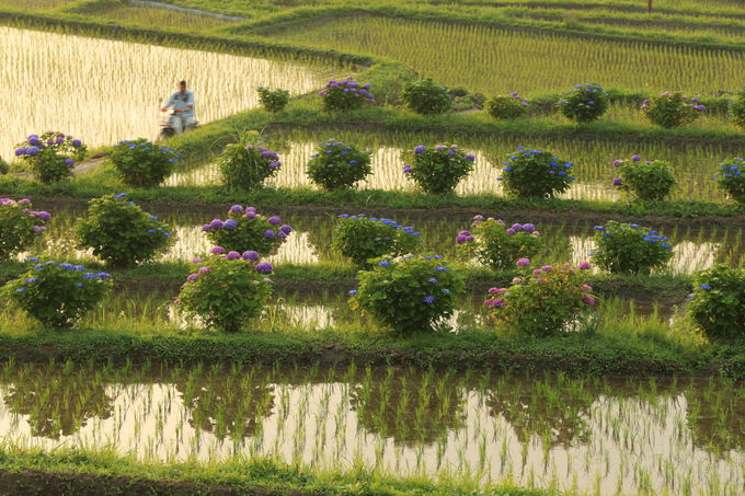 gIcĂh邱Ƃłuא̒Icv