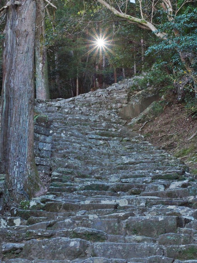 まるでロッククライミングのような神倉神社の石段