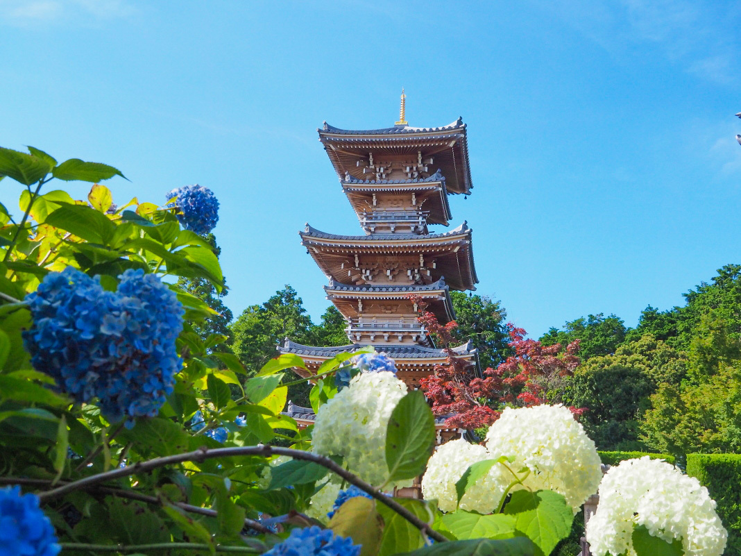 大阪府の花 植物の国内旅行 観光ガイド トラベルjp 旅行ガイド