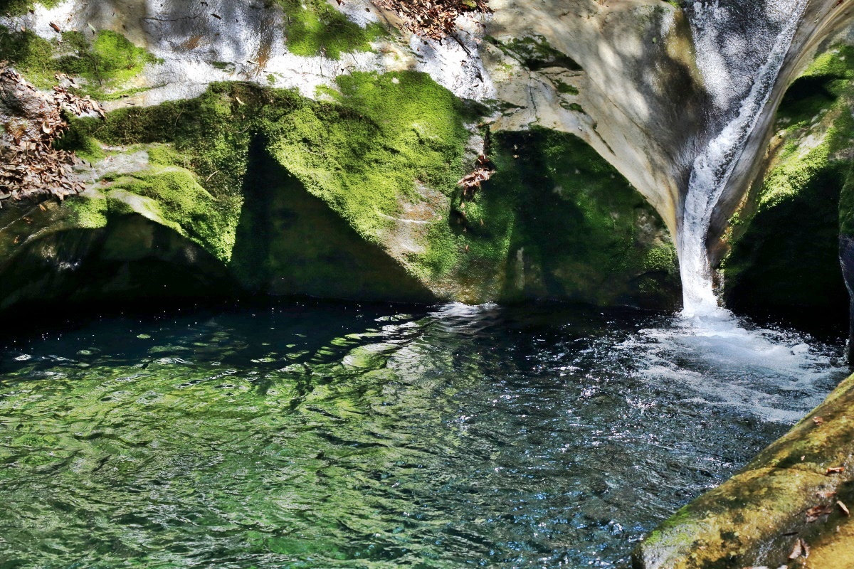 FɂƂẮgwȃp[X|bghu[JkJv