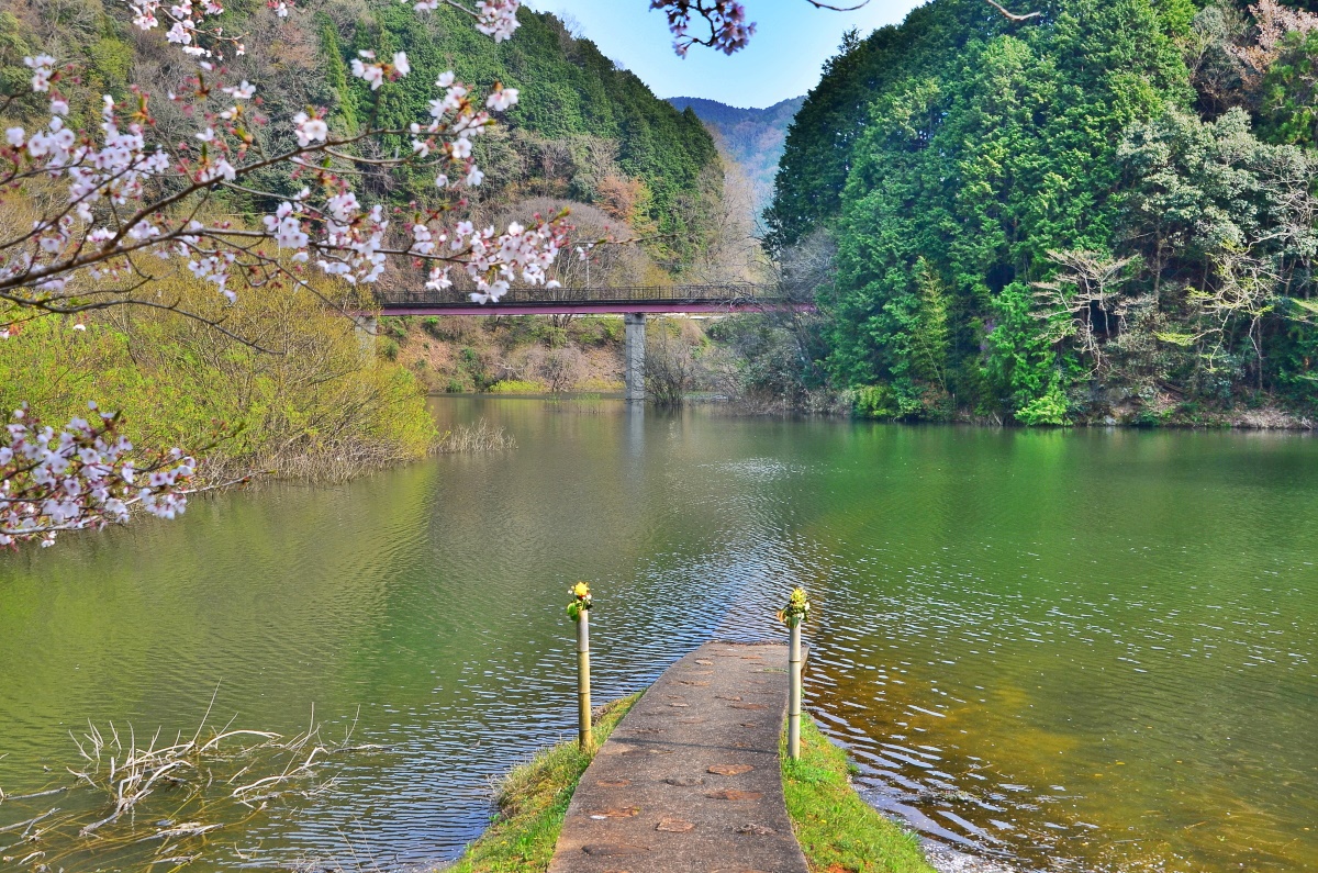 奈良 宇陀の神秘スポット3選 濡れ地蔵 龍王ヶ渕 深谷龍鎮渓谷 奈良県 トラベルjp 旅行ガイド