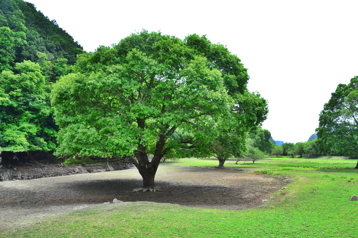 ΂̐ɂ邱Ƃ̂łȂuGnv