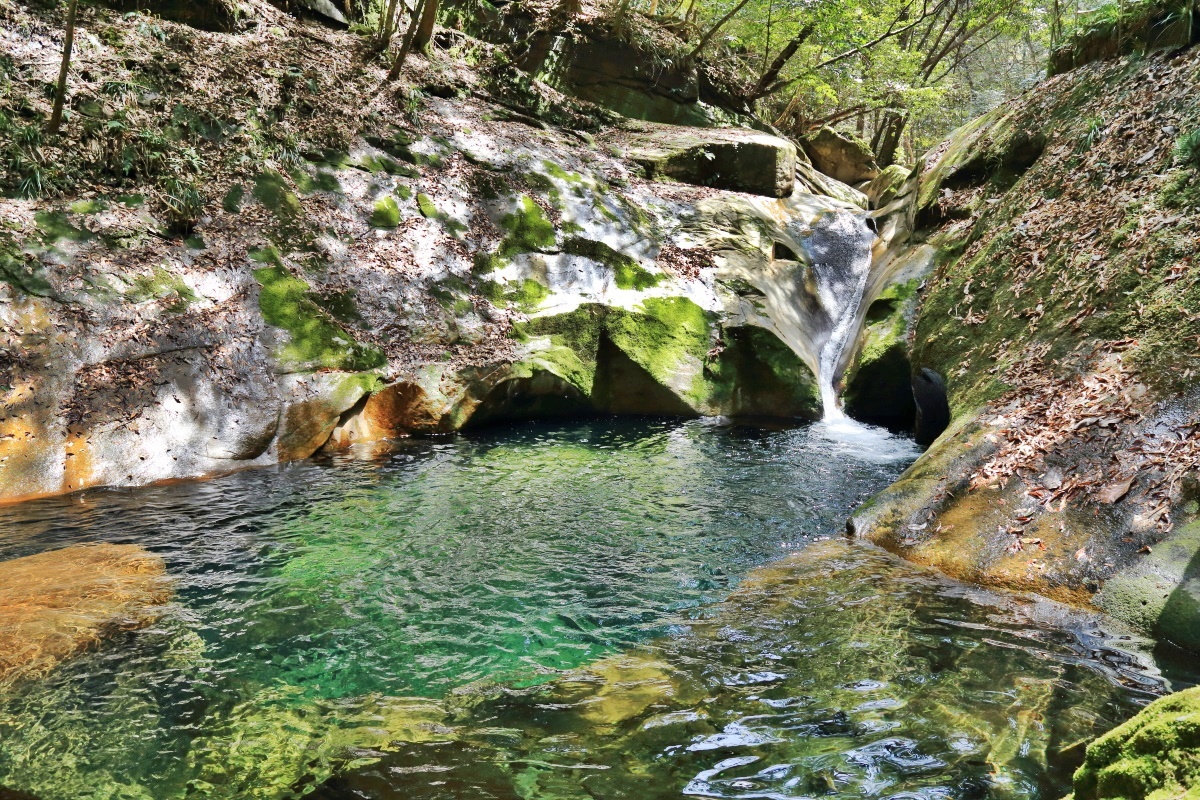 FɂƂẮgwȃp[X|bghu[JkJv