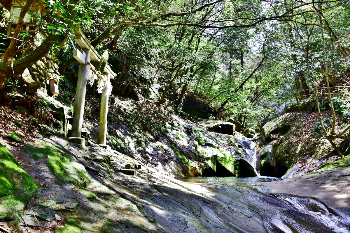 FɂƂẮgwȃp[X|bghu[JkJv