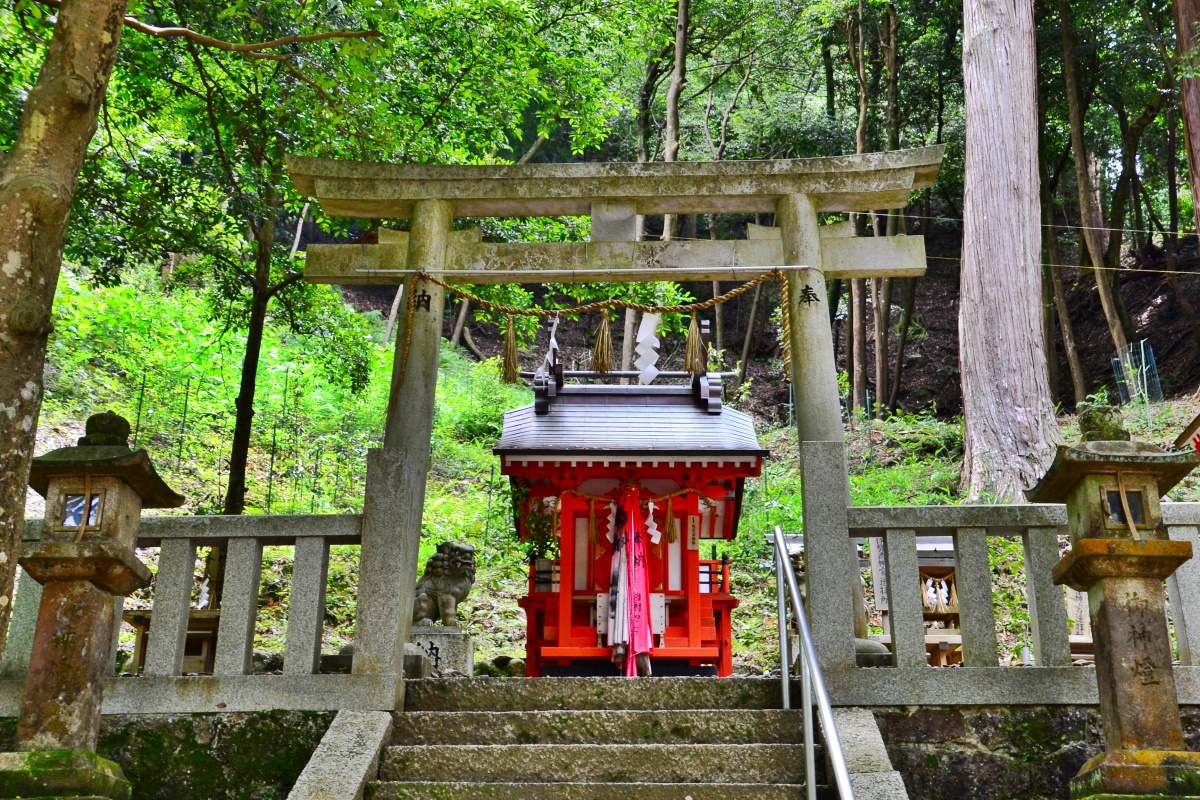 恋愛スポットに茶畑やグルメも！京都府「南山城村」を巡ろう  京都府 