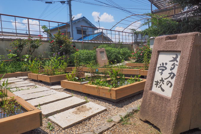 かき氷にアンブレラロードも 奈良 おふさ観音風鈴まつり 奈良県 トラベルjp 旅行ガイド