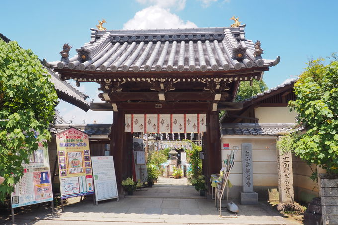 かき氷にアンブレラロードも 奈良 おふさ観音風鈴まつり 奈良県 トラベルjp 旅行ガイド